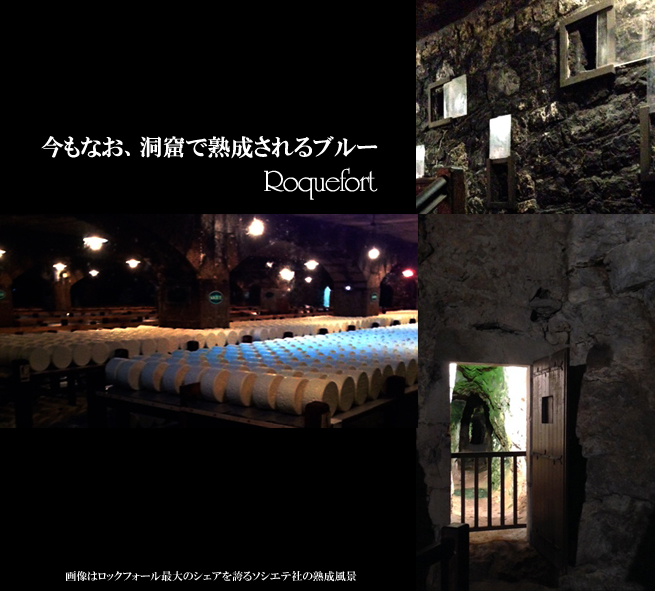 ロックフォールAOPカルル社2