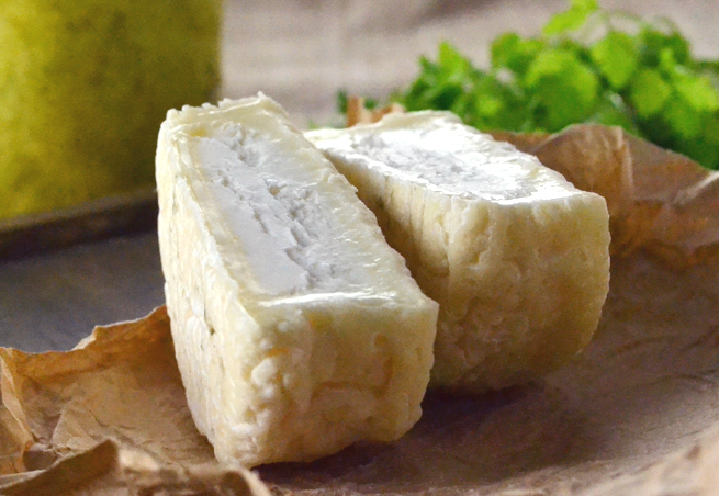 ピコドンAOPフェルミエ4