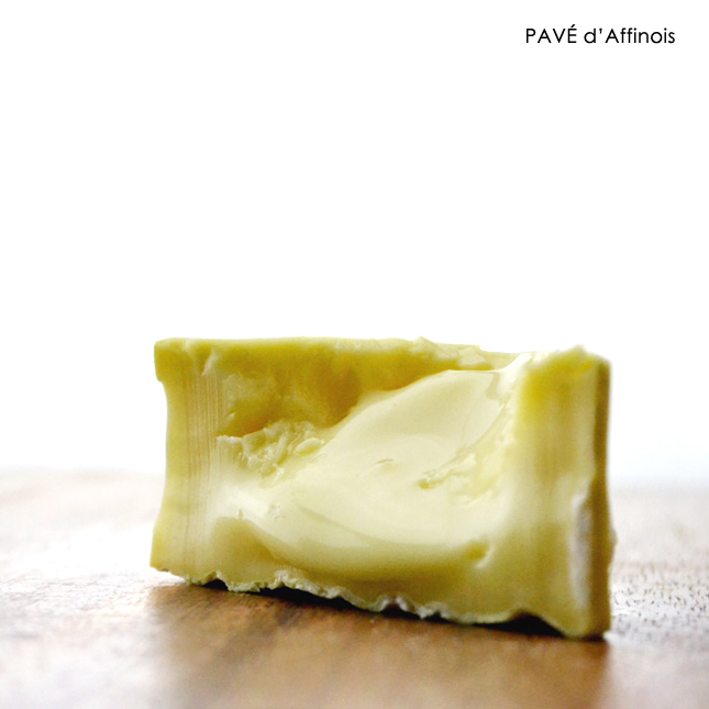 パヴェダフィノア1