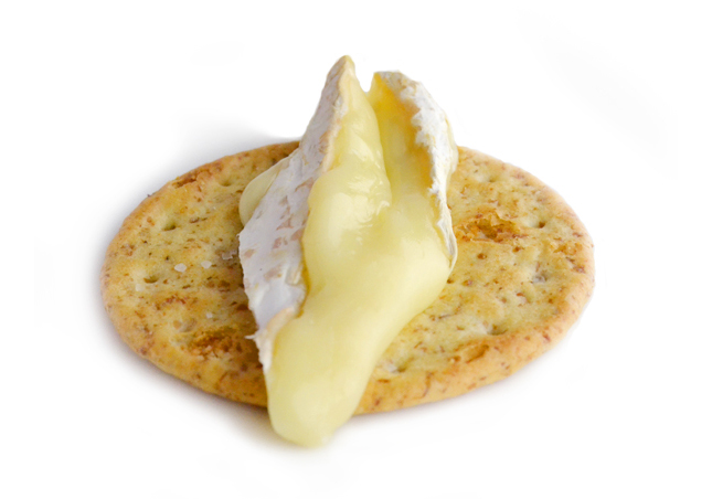 ブリドモーAOPドンジェ社3